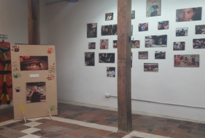exposición Barcú