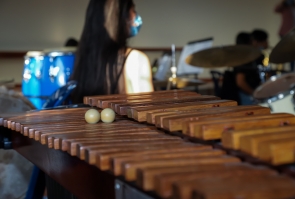 primer plano de marimba