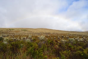 Paisaje Sumapaceño