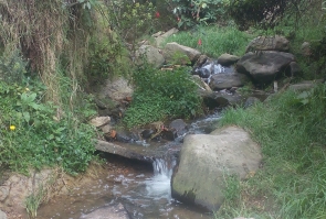 ...Un oasis de la ciudad