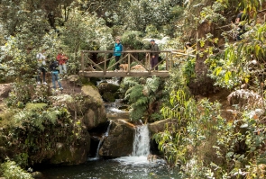 Foto: Camilo Zambrano 