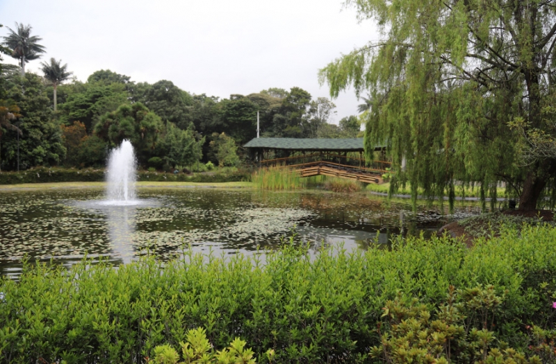 lago en parque de bogotá