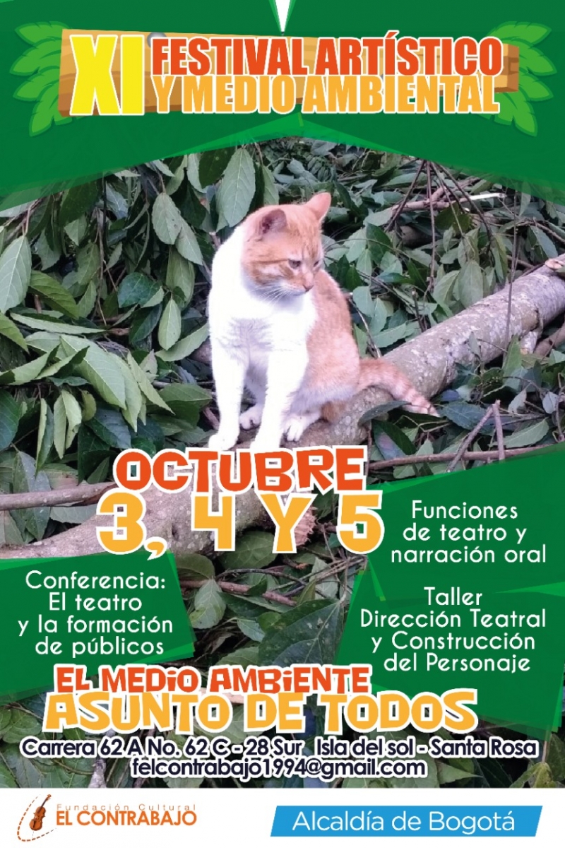 Gato en rama fondo de hojas de arbol con información